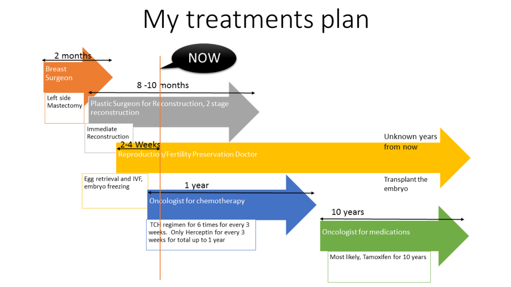 My Treatment Timeline